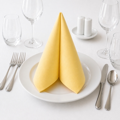 Tovagliolo Light Champagne in Airlaid 40×40 cm